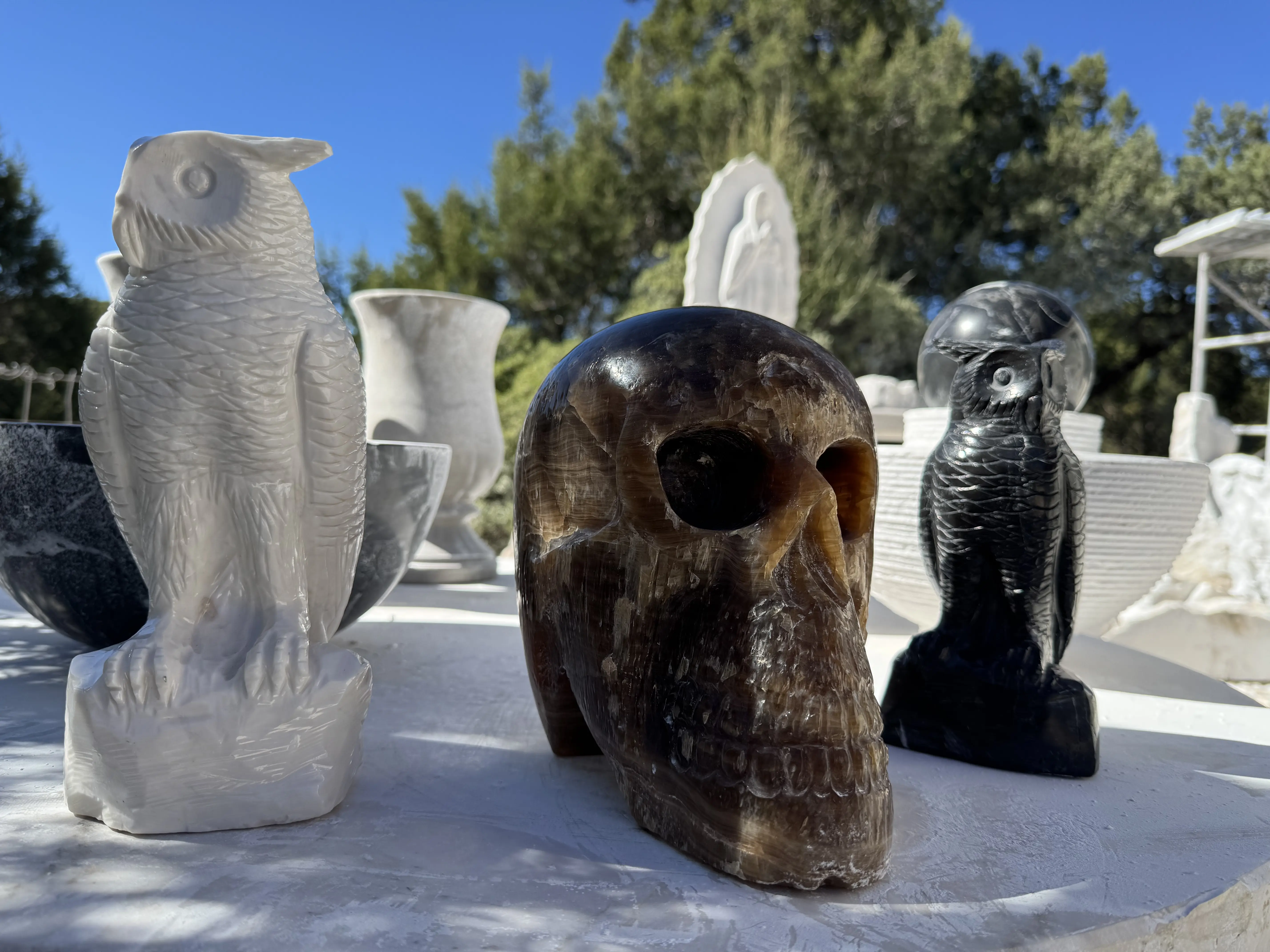 Descripción de la foto 3